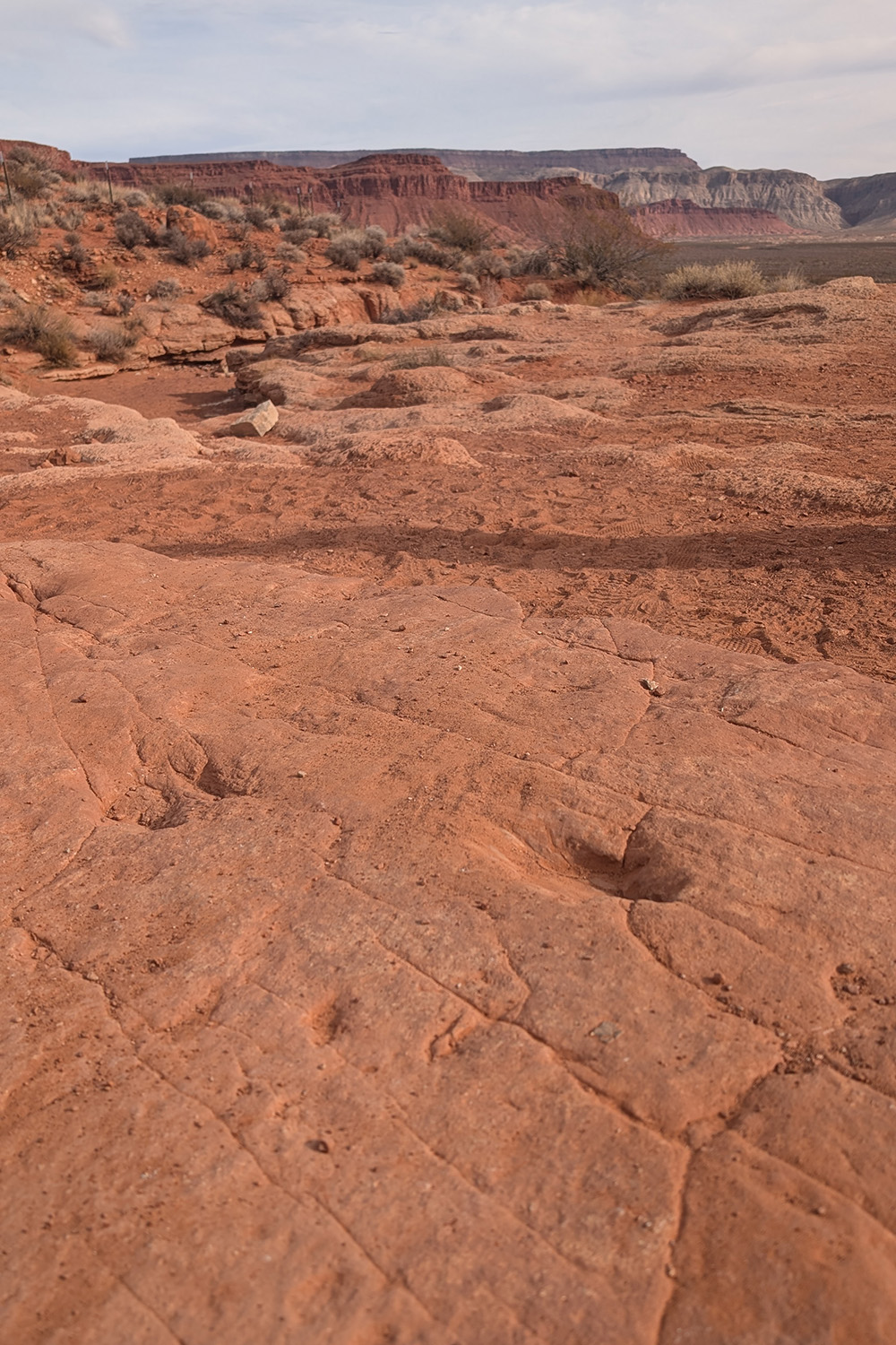 Sunday Hike - Warner Valley Dinosaur Track Site